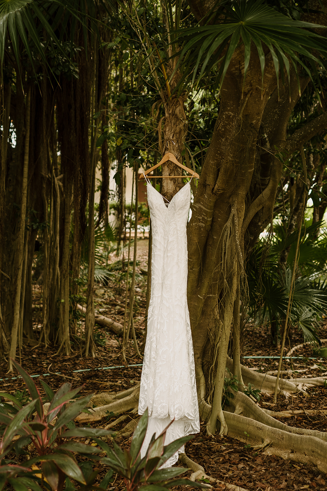 Lace wedding dress handing from tree in cancun mexico